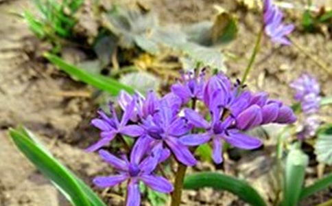 【必备】真诚的早安心语朋友圈28句