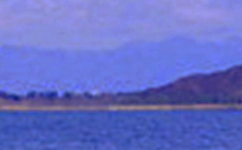 景色的作文300字【精华】