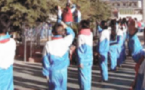 精选升国旗小学生作文四篇