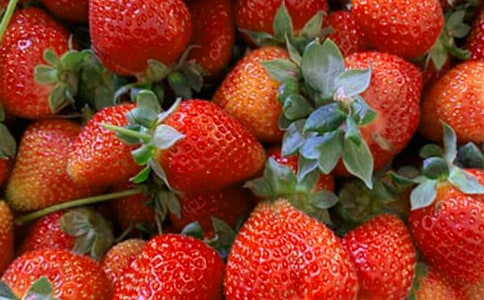 小班科学《漂亮的水果外衣》优秀教案