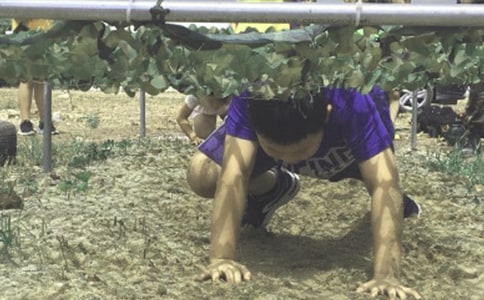 夏令营作文300字[经典6篇]