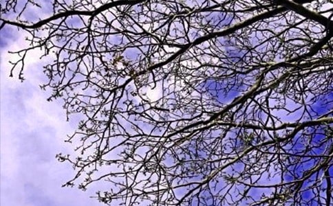 经典治愈系早安问候语44句