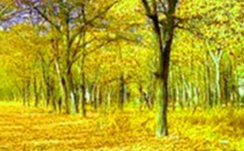 关于四年级美景作文300字集合6篇