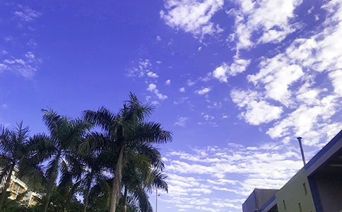 【推荐】2026年适合给朋友的早安QQ问候语锦集63句