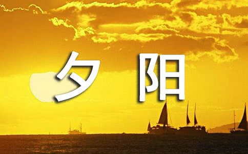 【精选】夕阳作文600字五篇