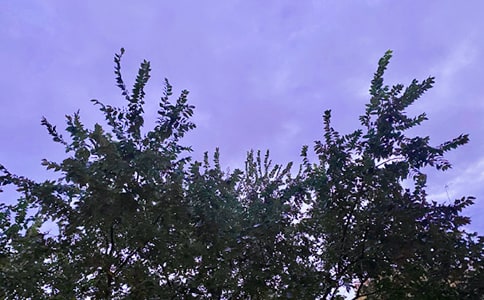 简洁的动人的早安问候语短信锦集36句