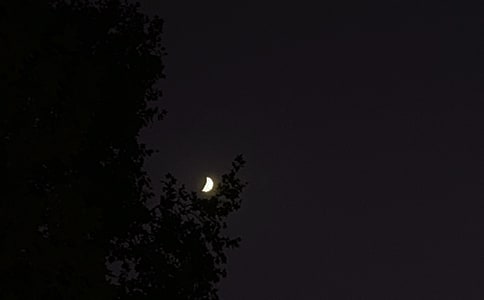 2026年有关晚安励志语录大集合72句