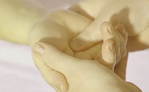 与动物和谐相处作文范例[10篇]