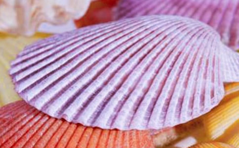 贝壳作文汇总5篇