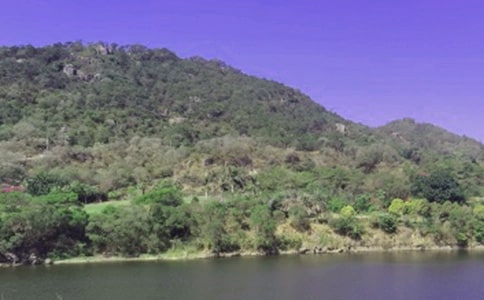 家乡的水库作文400字