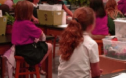 如果我能再做一回小学生作文通用15篇