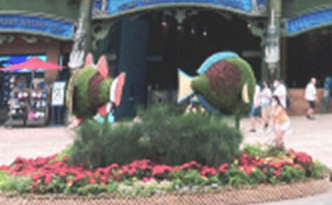 （实用）游海洋公园的作文4篇