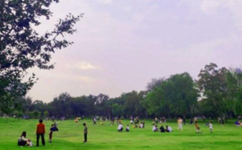 【实用】公园游记作文4篇