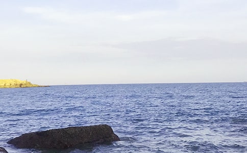 [热门]写大海的作文3篇