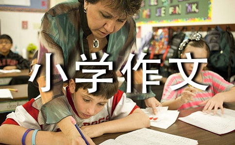 关于树叶小学作文300字三篇