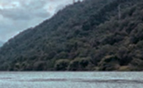 【精选】三年级景色的作文300字三篇