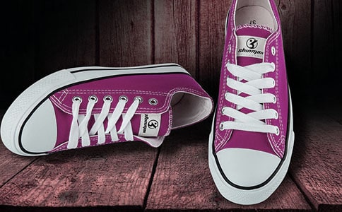 未来的鞋子作文(优)