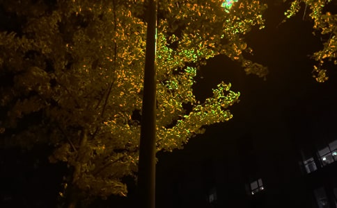 简洁的晚安心语朋友圈63句