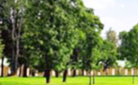 【推荐】写景公园的作文三篇