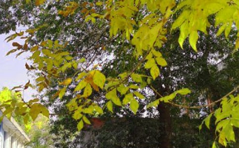 2026年精选早安问候语语录39条