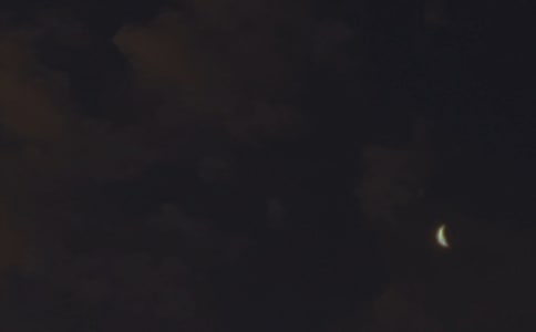 2026年有关温馨的晚安问候语短信汇编63句