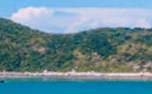 关于景色的作文300字4篇