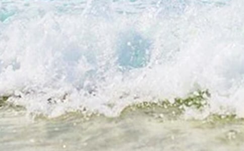 （合集）美丽的夏天作文15篇