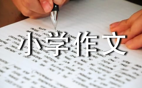 【实用】树叶小学作文合集七篇7篇（优）