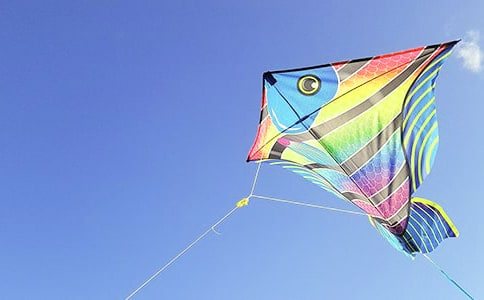 [必备]风筝作文500字9篇