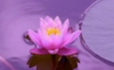 [集合]和谐的作文5篇