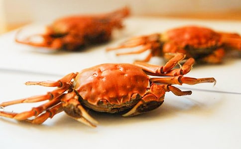 螃蟹观察日记(通用15篇)