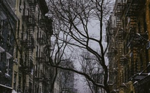 精选冬天写景的作文合集五篇