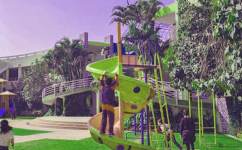 种花小学生作文合集5篇