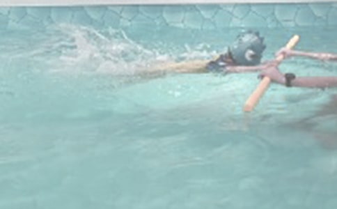 游泳趣事作文300字8篇