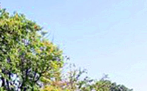 2026年温馨的午安问候语短信摘录97条