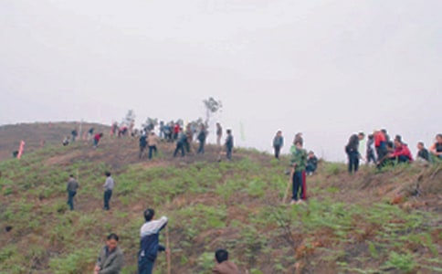 精选扫墓作文300字9篇