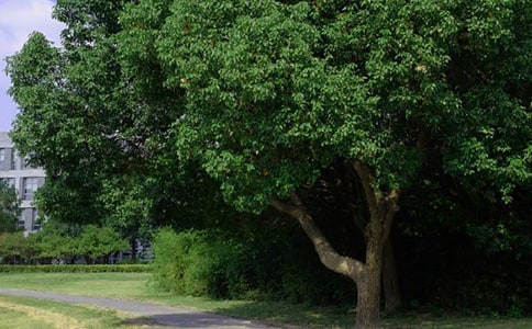 【推荐】适合早上发的早安QQ问候语56条