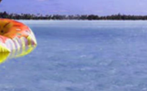 实用的假期生活作文精选6篇