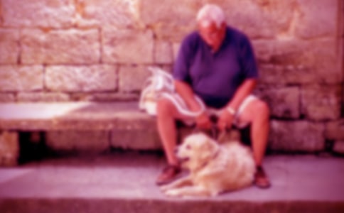 爷爷作文300字汇编10篇