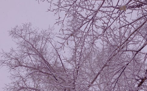 【热】冬日阳光的作文9篇