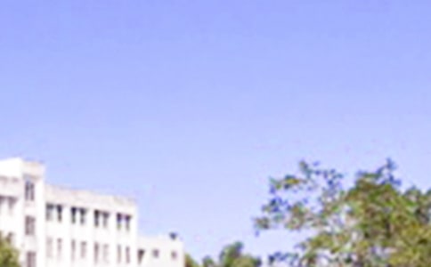 2026年常用新版早安问候语集合46句