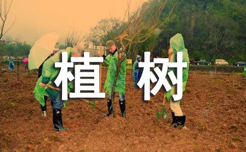 植树作文300字5篇【经典】