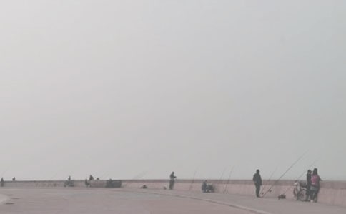 （实用）钓鱼启示的作文4篇