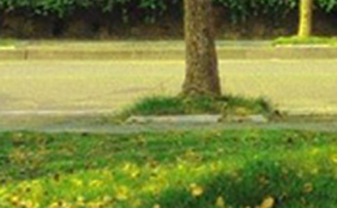 【推荐】适合早上发的早安朋友圈问候语26句