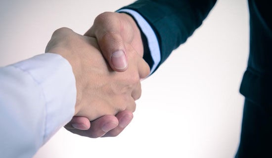 实用的百合作文[荐]