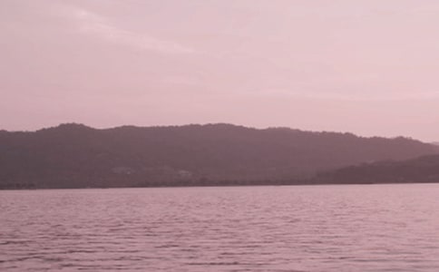 美丽的西湖作文汇总3篇