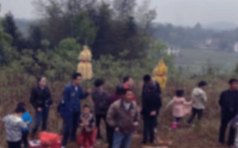 【推荐】扫墓的作文300字3篇