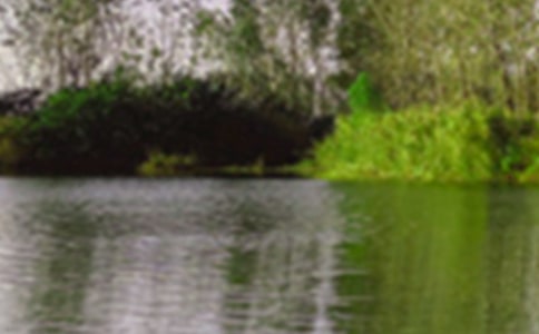 【精选】景色作文300字9篇