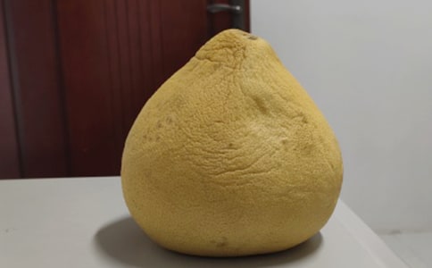 柚子的作文600字10篇