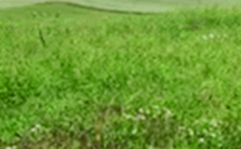 描写田野的作文6篇【推荐】